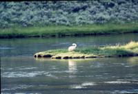 Albums/19750700-USA75/10