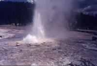 Albums/19750700-USA75/19