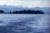 Albums/19750700-USA75/40