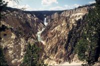 Albums/19750700-USA75/43