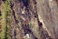 Albums/19750700-USA75/44