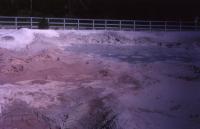 Albums/19750700-USA75/55