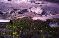 Albums/19750700-USA75/57