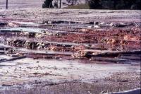 Albums/19750700-USA75/58