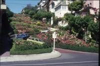 Albums/19750700-USA75/77