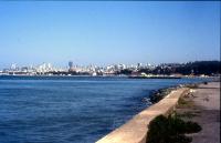 Albums/19750700-USA75/81