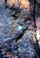 Albums/19750700-USA75/85