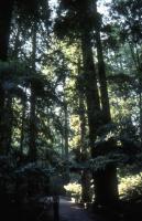 Albums/19750700-USA75/87