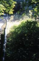 Albums/19750700-USA75/88