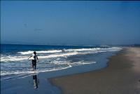 Albums/19750700-USA75/92