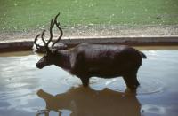 Albums/19800801-Canada/19800801-Winpeg/10