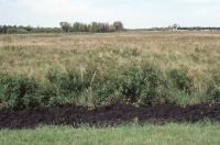 Albums/19800801-Canada/19800801-Winpeg/33