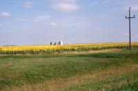 Albums/19800801-Canada/19800802-WtoB/1