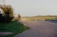 Albums/19800801-Canada/19800802-WtoB/6