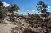 Albums/19800801-Canada/19800803-Bad/3