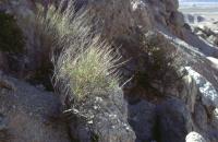 Albums/19800801-Canada/19800803-Bad/28