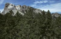 Albums/19800801-Canada/19800804-BtoS/24