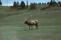 Albums/19800801-Canada/19800804-BtoS/29