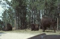 Albums/19800801-Canada/19800804-BtoS/32