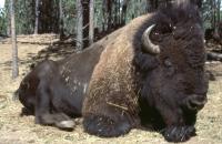 Albums/19800801-Canada/19800804-BtoS/34