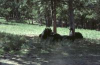 Albums/19800801-Canada/19800804-BtoS/35