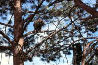 Albums/19800801-Canada/19800804-BtoS/39