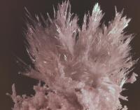 Albums/19800801-Canada/19800804-BtoS/7