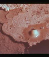 Albums/19800801-Canada/19800804-BtoS/9