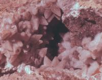 Albums/19800801-Canada/19800804-BtoS/10