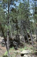 Albums/19800801-Canada/19800804-BtoS/27