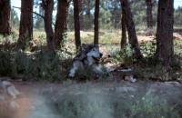 Albums/19800801-Canada/19800804-BtoS/40