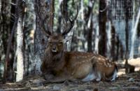 Albums/19800801-Canada/19800804-BtoS/31