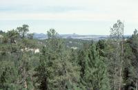 Albums/19800801-Canada/19800805-StoY/1