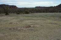 Albums/19800801-Canada/19800805-StoY/9