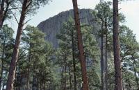 Albums/19800801-Canada/19800805-StoY/3