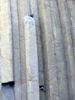 Albums/19800801-Canada/19800805-StoY/5