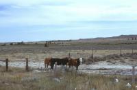 Albums/19800801-Canada/19800805-StoY/10