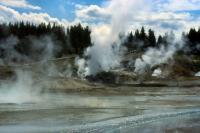 Albums/19800801-Canada/19800806-Yell/5