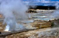 Albums/19800801-Canada/19800806-Yell/6