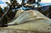 Albums/19800801-Canada/19800806-Yell/10