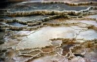 Albums/19800801-Canada/19800806-Yell/21