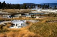 Albums/19800801-Canada/19800806-Yell/40