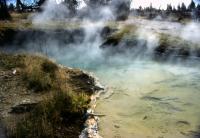 Albums/19800801-Canada/19800806-Yell/49