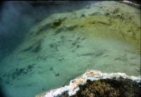 Albums/19800801-Canada/19800806-Yell/50