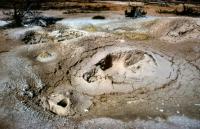 Albums/19800801-Canada/19800806-Yell/57