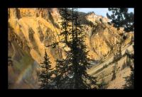 Albums/19800801-Canada/19800806-Yell/69