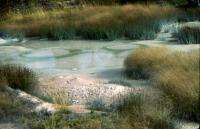 Albums/19800801-Canada/19800806-Yell/42