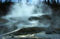 Albums/19800801-Canada/19800806-Yell/45