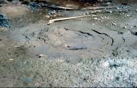 Albums/19800801-Canada/19800806-Yell/52