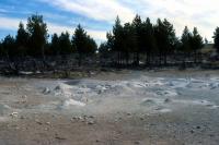 Albums/19800801-Canada/19800806-Yell/51